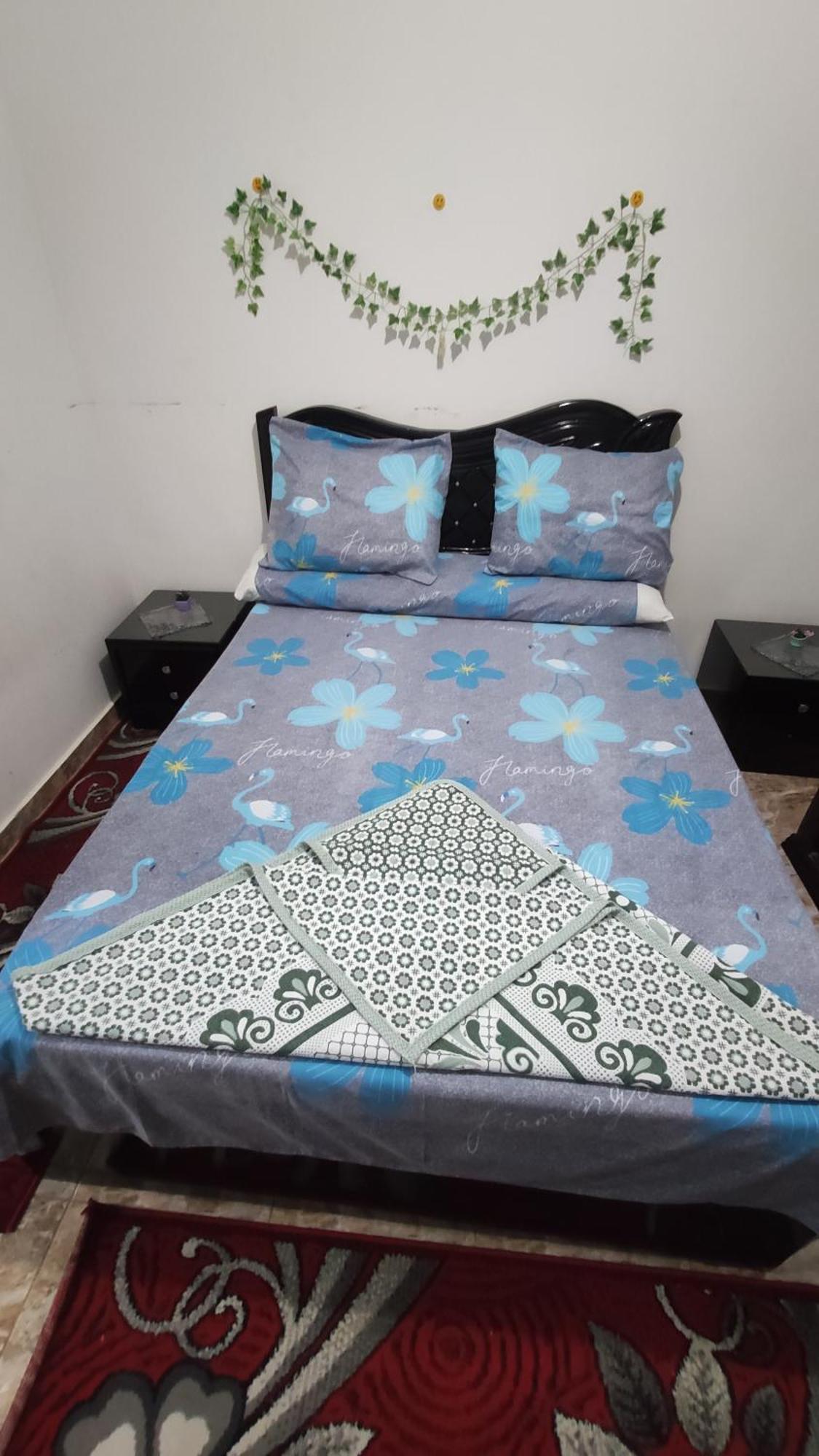 אלכסנדריה The Flowers Apartment מראה חיצוני תמונה